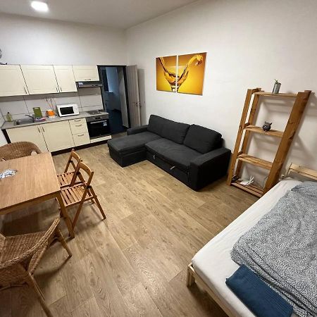 Appartamento Apartmans In The Center With Privat Parking Brno Esterno foto