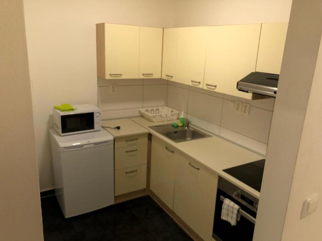 Appartamento Apartmans In The Center With Privat Parking Brno Esterno foto
