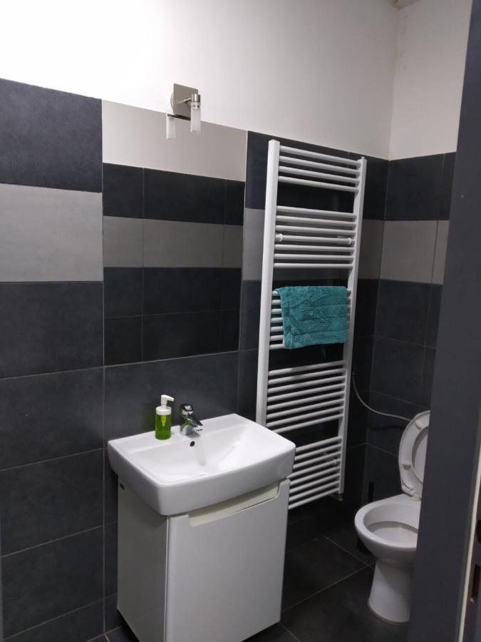 Appartamento Apartmans In The Center With Privat Parking Brno Esterno foto