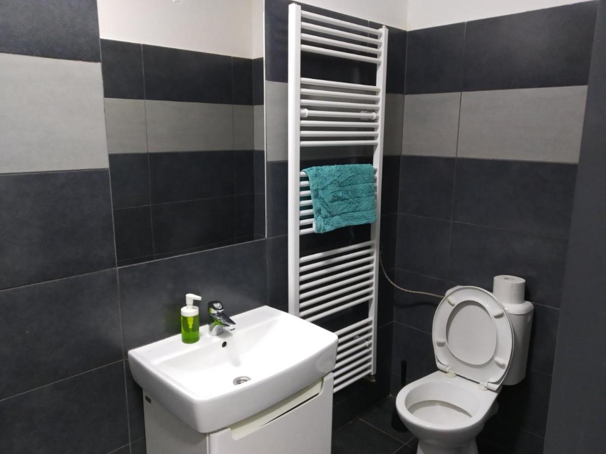 Appartamento Apartmans In The Center With Privat Parking Brno Esterno foto