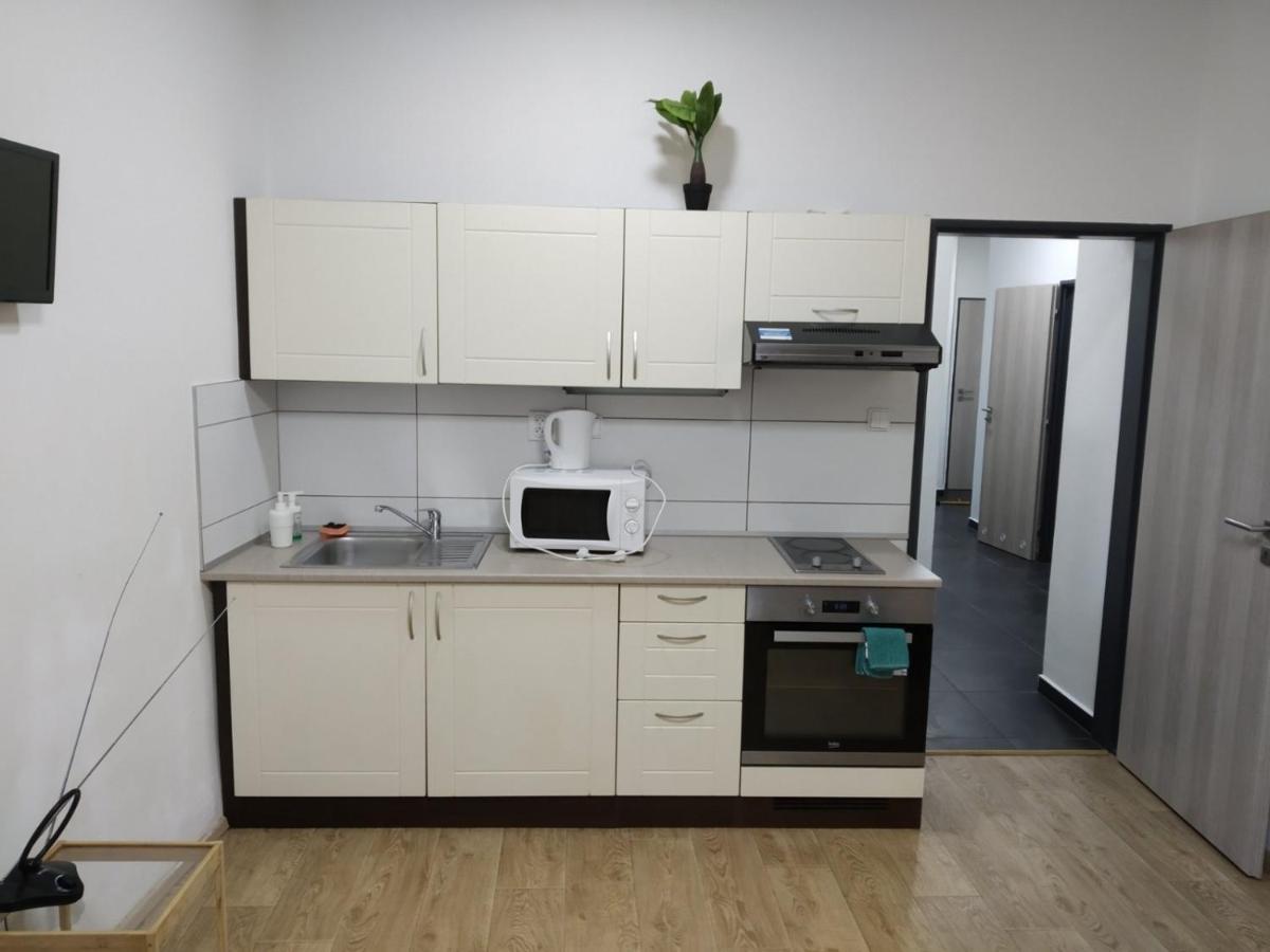 Appartamento Apartmans In The Center With Privat Parking Brno Esterno foto