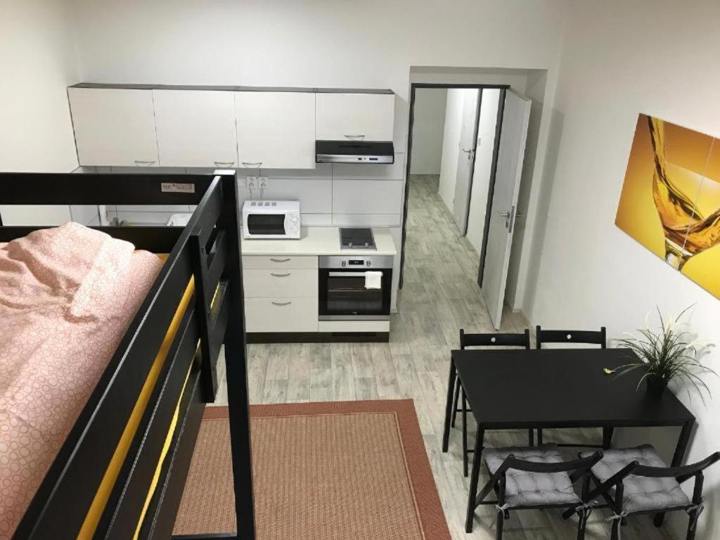 Appartamento Apartmans In The Center With Privat Parking Brno Esterno foto