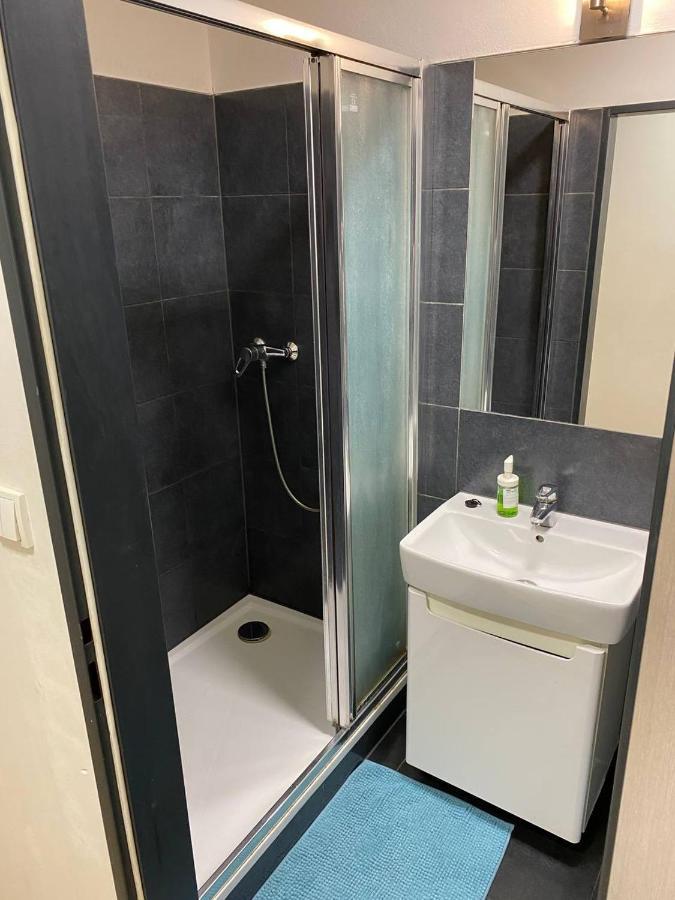 Appartamento Apartmans In The Center With Privat Parking Brno Esterno foto