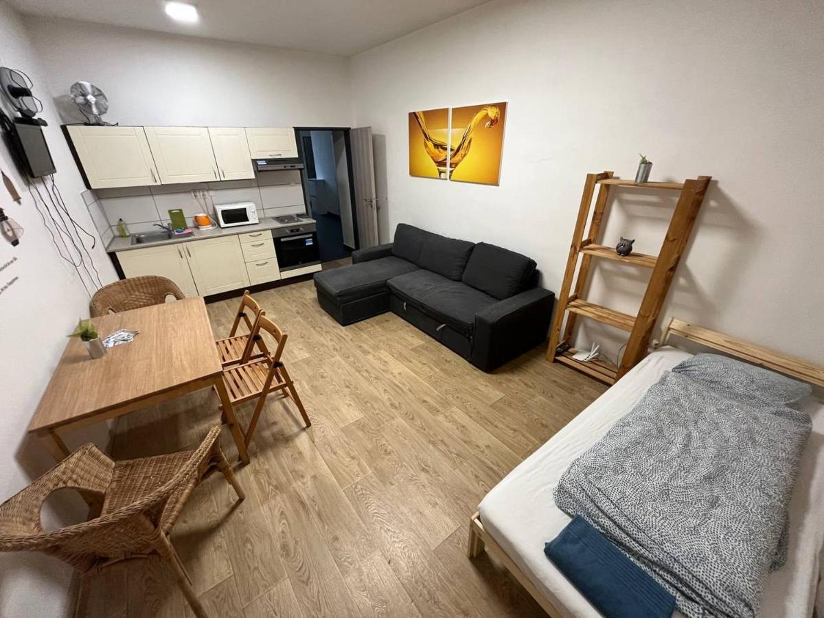 Appartamento Apartmans In The Center With Privat Parking Brno Esterno foto